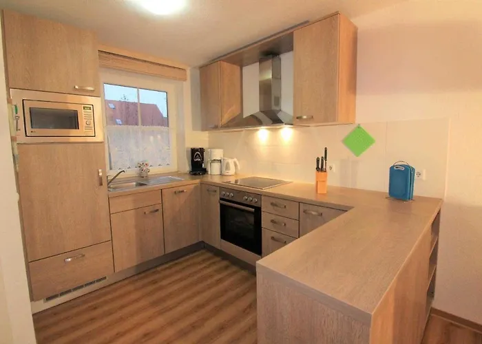 Robbenplatte 4 Burhave